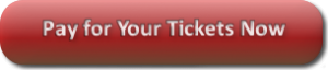pay-button